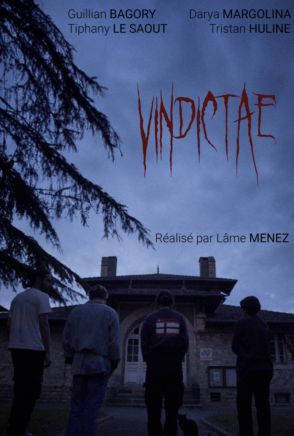 Filmposter for Vindictae